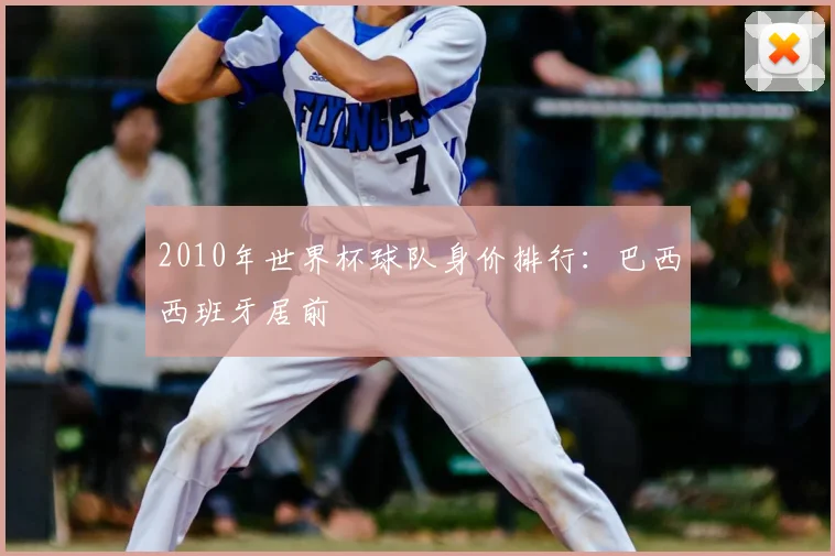 2010年世界杯球队身价排行:巴西西班牙居前
