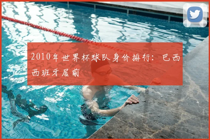 2010年世界杯球队身价排行:巴西西班牙居前