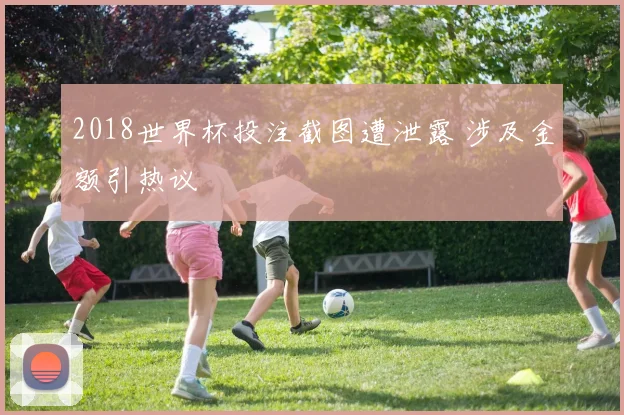 2018世界杯投注截图遭泄露 涉及金额引热议