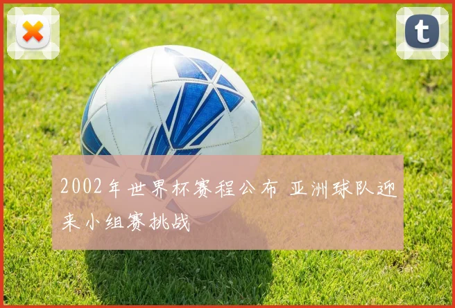 2002年世界杯赛程公布 亚洲球队迎来小组赛挑战