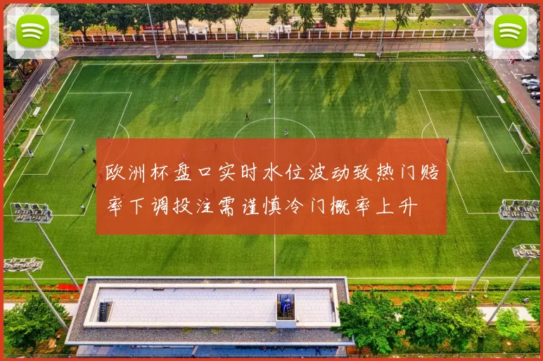 欧洲杯盘口实时水位波动致热门赔率下调投注需谨慎冷门概率上升
