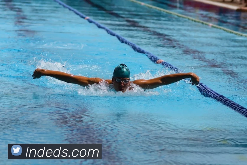 星空体育app品牌故事