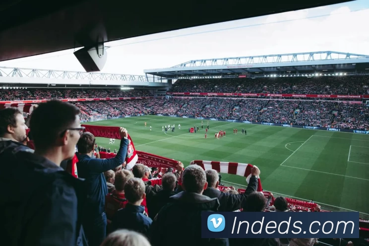 星空体育app服务体系